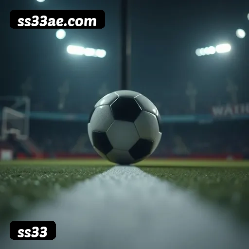 Níveis do programa VIP da ss33